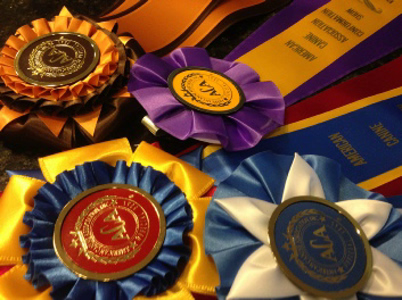 cindy, hubers, dog, breeder, ribbons, puppies, for, sale, cindy hubers dog breeder, puppies, pups, cindy hubers breeder, usda, inspected, inspection, records, for sale